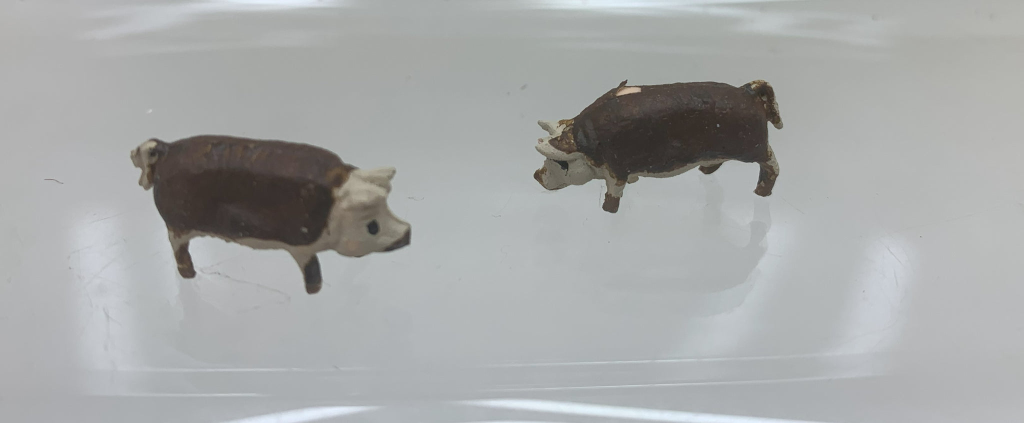 PIGS - VARIOUS BREEDS 00 SCALE