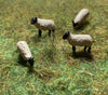 SHEEP X 4 RESIN SCALE OO SCALE