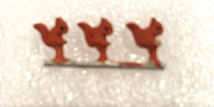 RED  SQUIRRELS G00 AUGE