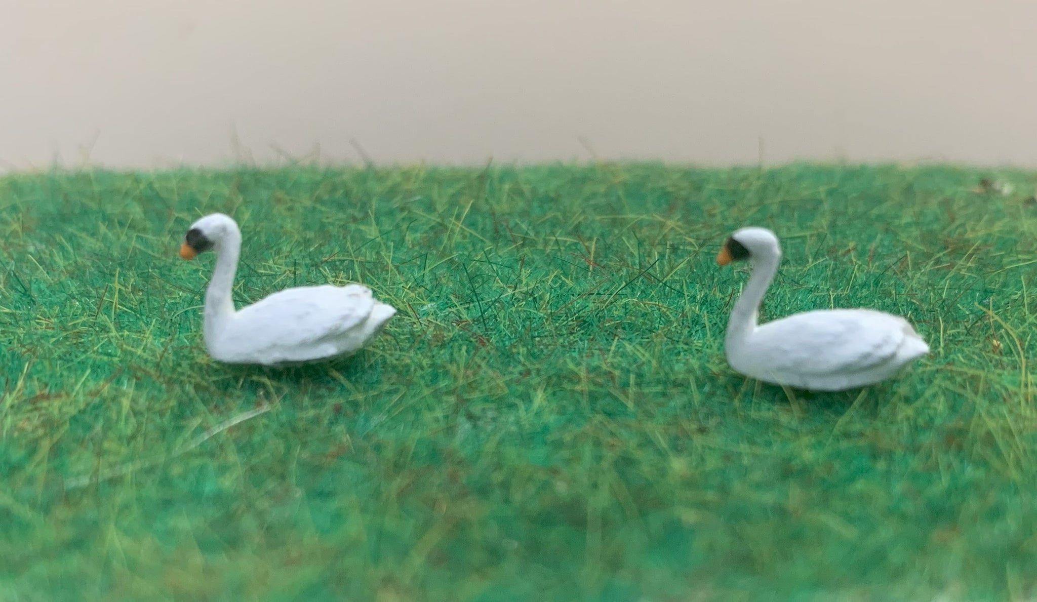White Swans 00  scale