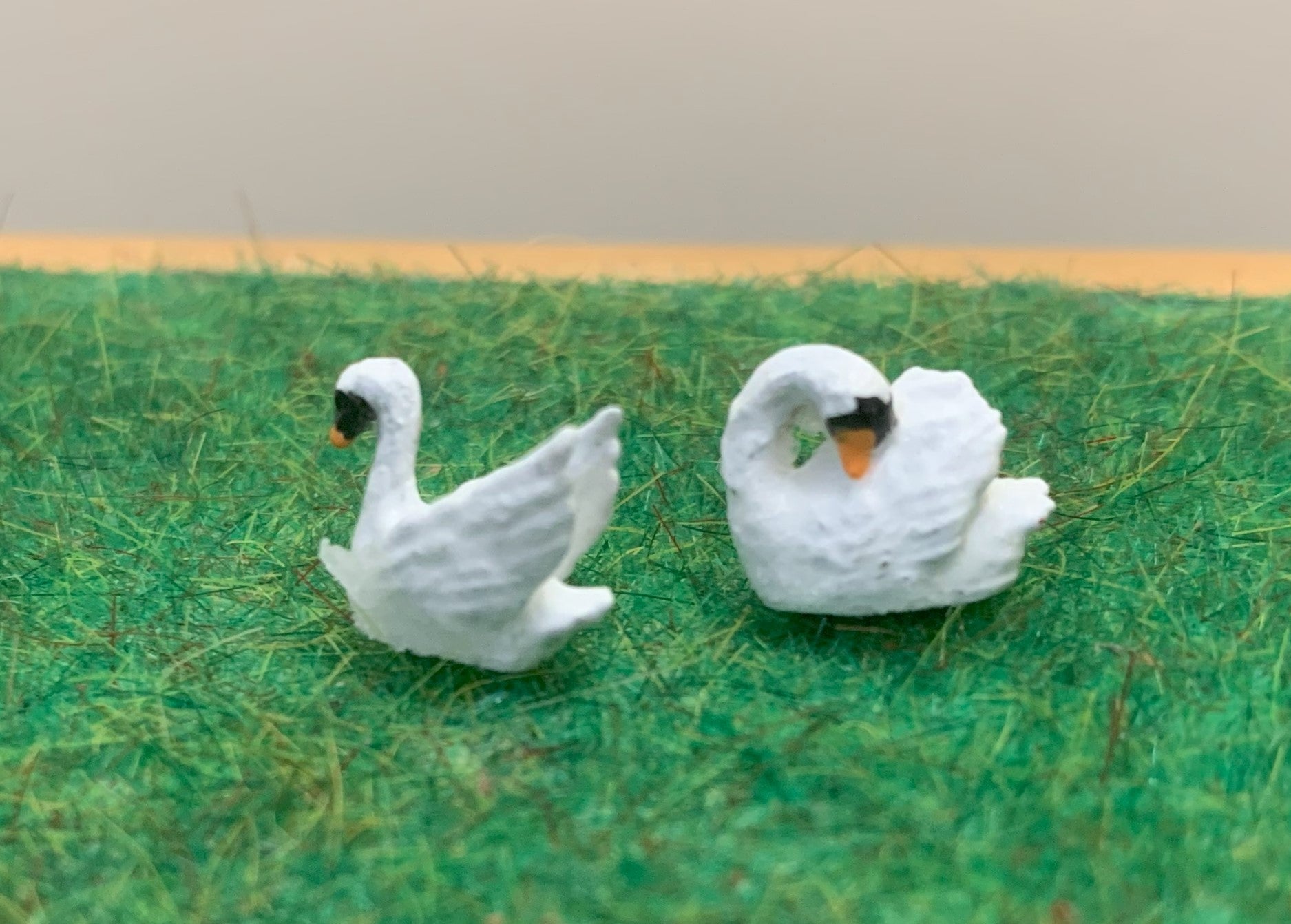 White Swans 00  scale