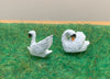White Swans 00  scale