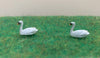 White Swans 00  scale