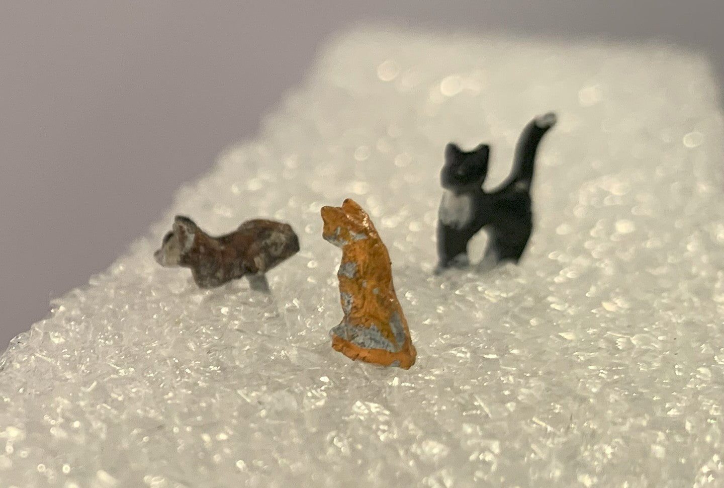 CATS x 2/3 SCALE OO