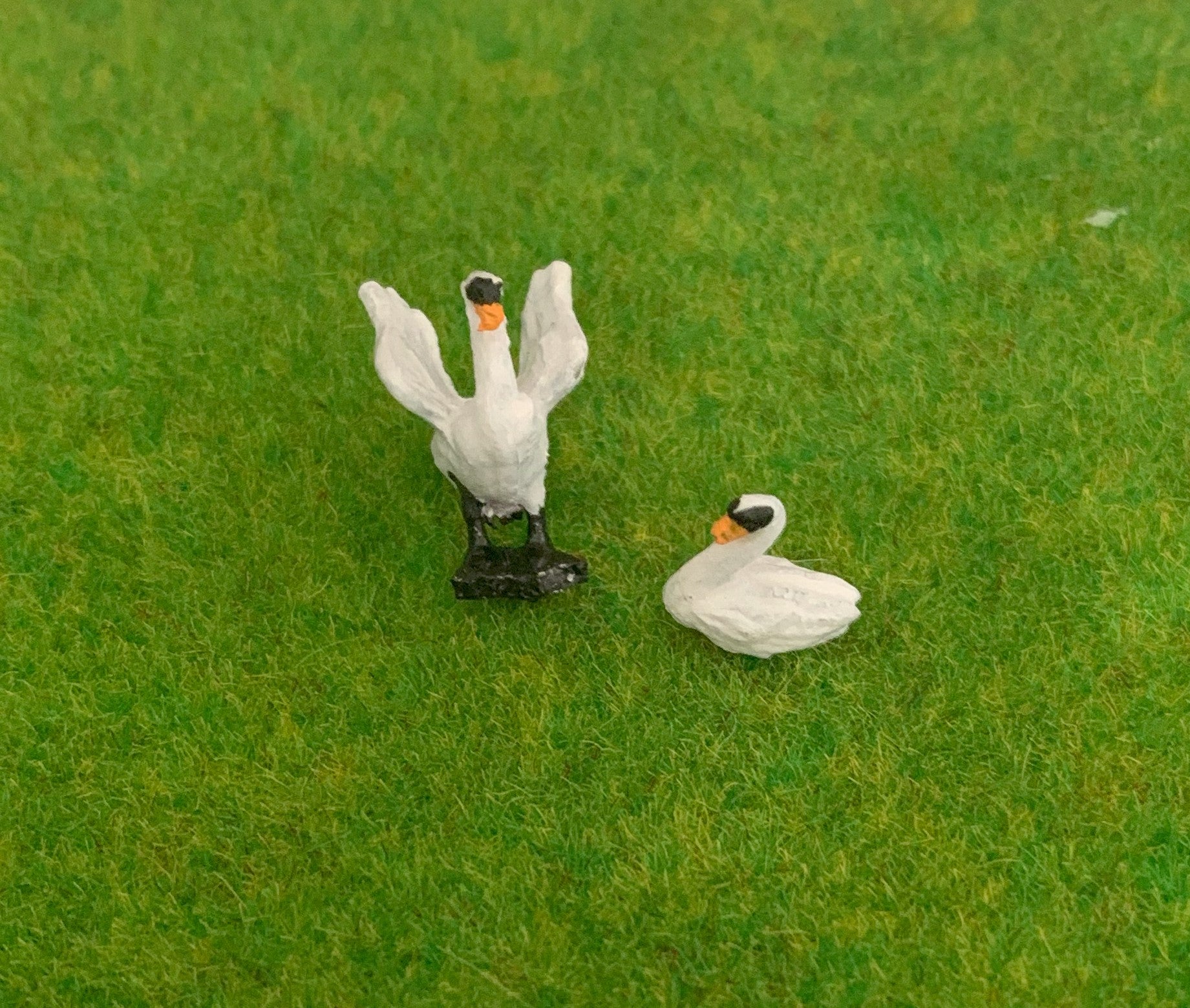 White Swans 00  scale