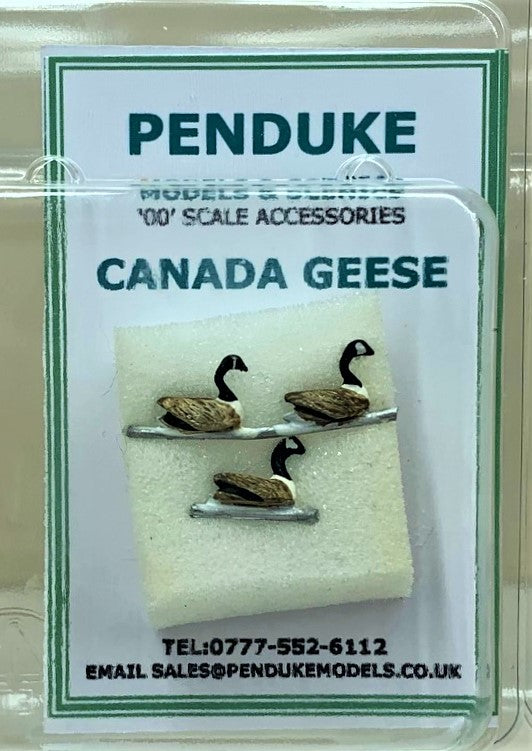 CANADA GEESE SWIMMING X 3 OO SCALE